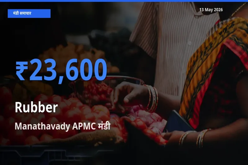 Manathavady APMC मंडी में रबड़ ₹23,600 पर पहुँचा – आज का सर्वोच्च भाव