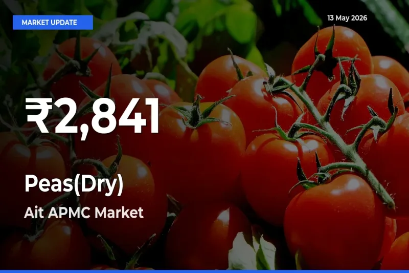 Big Drop! Peas(Dry) Slides to 30-Day Low at Ait APMC