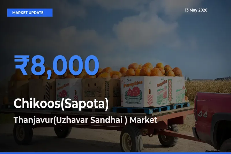 Thanjavur(Uzhavar Sandhai ) Tops Chikoos(Sapota) Mandi Rates Today