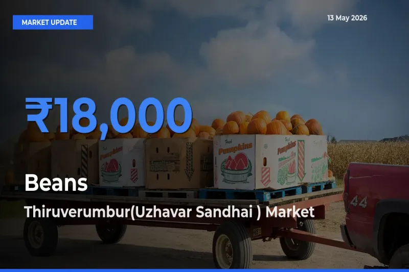 Market Watch: Thiruverumbur(Uzhavar Sandhai ) Becomes Top Mandi for Beans