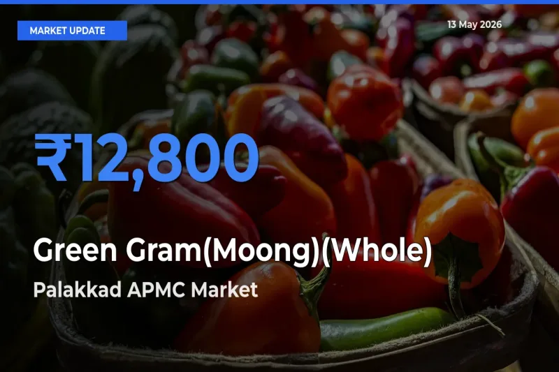 Palakkad APMC Offers ₹12,800 – Highest Green Gram(Moong)(Whole) Rate Today