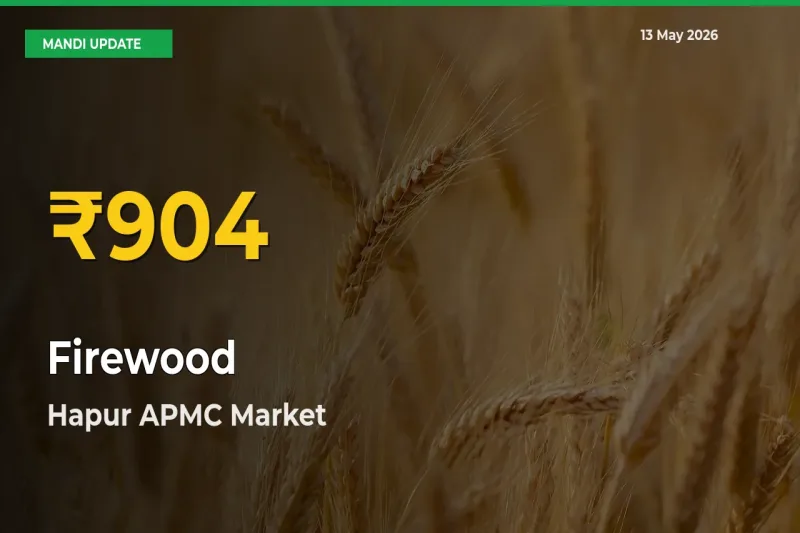 Firewood Prices Soar to Record High in Hapur APMC – Farmers Alert Today