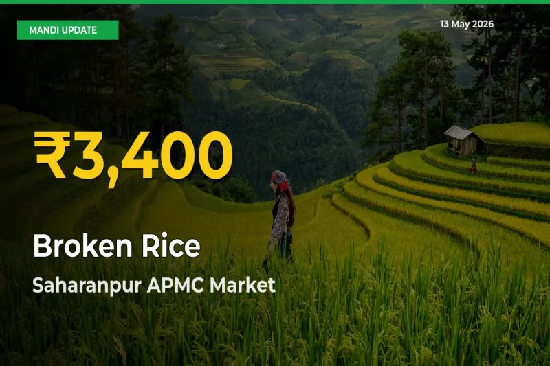 Broken Rice Hits Fresh High in Saharanpur APMC Today