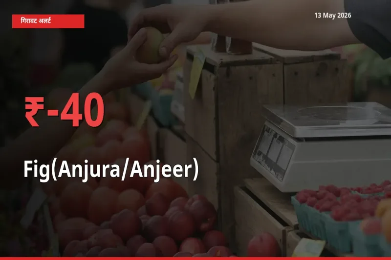 अंजीर के दाम प्रमुख मंडी में 40% गिरे, 24 घंटे में बड़ा बदलाव