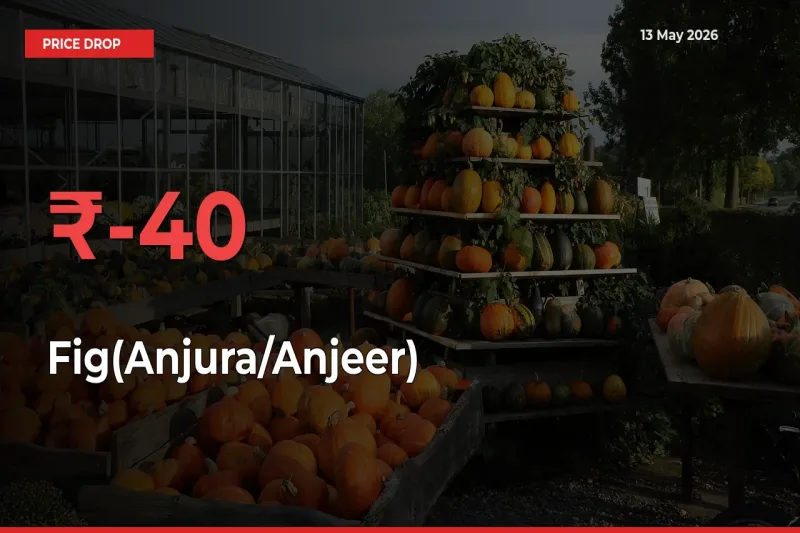Fig(Anjura/Anjeer) Prices Drop 40% – May 13 Market Update from Mandis