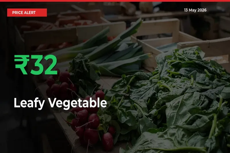 Farmers Cheer as Leafy Vegetable Prices Surge 32.1% in Local Mandis