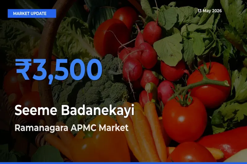 Ramanagara APMC Emerges as Top Mandi for Seeme Badanekayi Prices Today