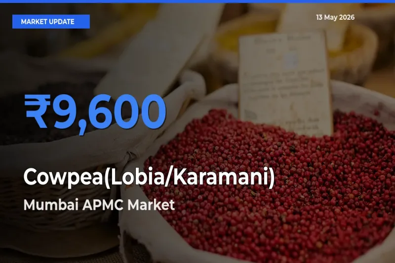 Mumbai APMC Tops Cowpea(Lobia/Karamani) Mandi Rates Today