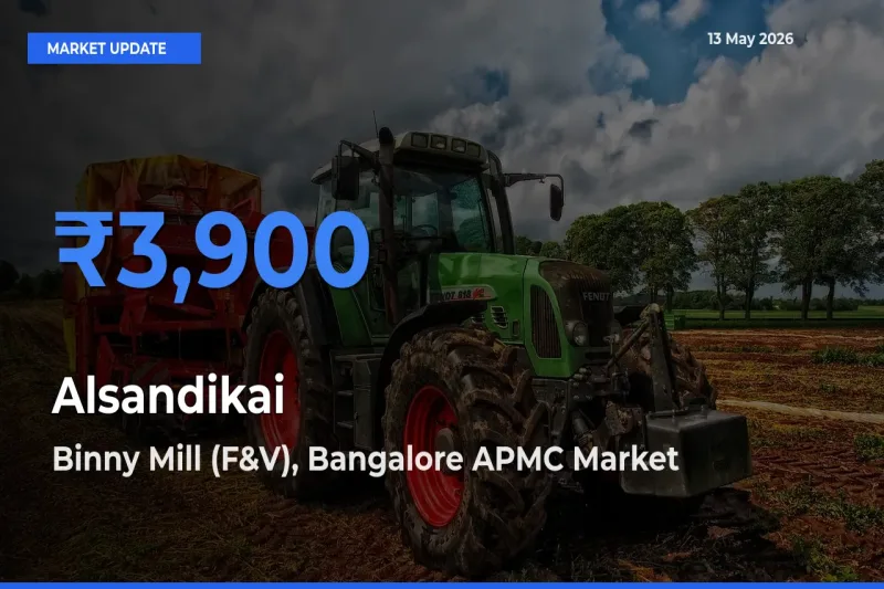 Binny Mill (F&V), Bangalore APMC Offers ₹3,900 – Highest Alsandikai Rate Today
