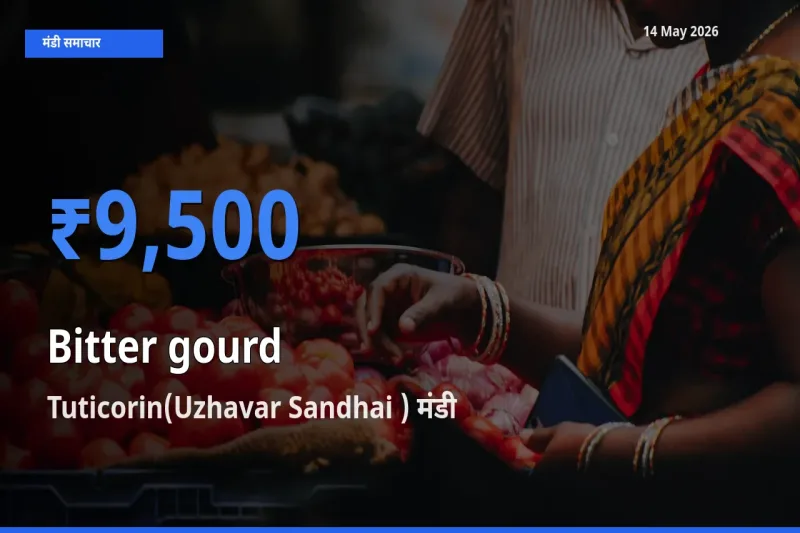 बाज़ार संकेत: Tuticorin(Uzhavar Sandhai ) बना करेला के लिए आज की टॉप मंडी