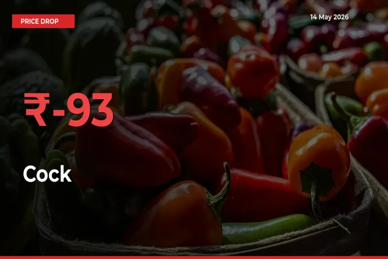 92.5% Drop in Cock Prices – Mandi Sees Sudden Fall