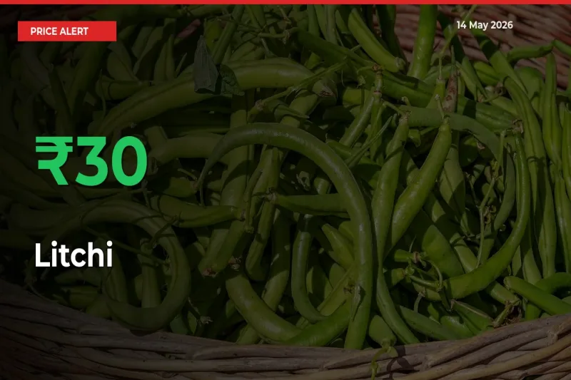 Litchi Prices Rise 30.05% in a Day at Major Mandis