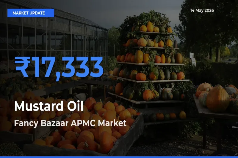 Fancy Bazaar APMC Leads as Top Mandi for Mustard Oil Prices