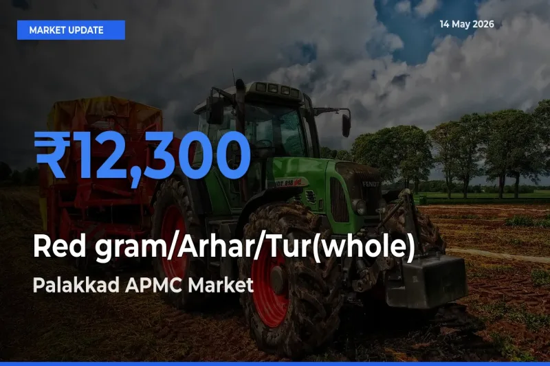 Red gram/Arhar/Tur(whole) Mandi Rate Today: Palakkad APMC Tops the List