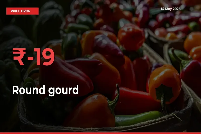 Round gourd Prices Drop 18.82% – May 14 Market Update from Mandis