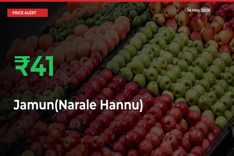 Jamun(Narale Hannu) Prices Rise 40.83% in a Day at Major Mandis