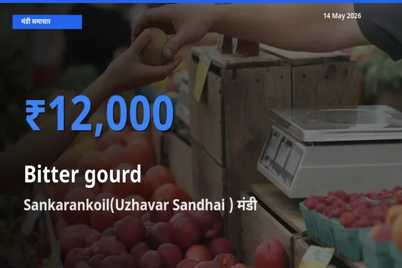 Sankarankoil(Uzhavar Sandhai ) में करेला का आज सबसे ऊँचा भाव