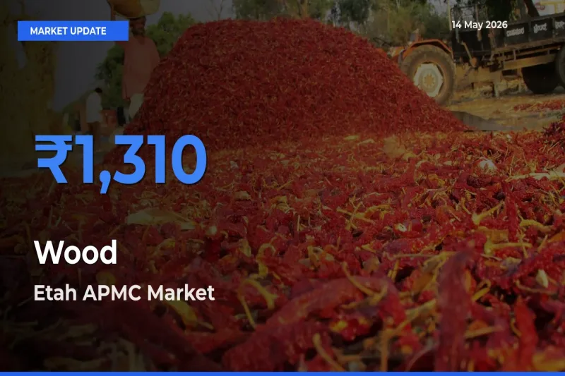 Etah APMC Tops Wood Rates – May 14 Market Update