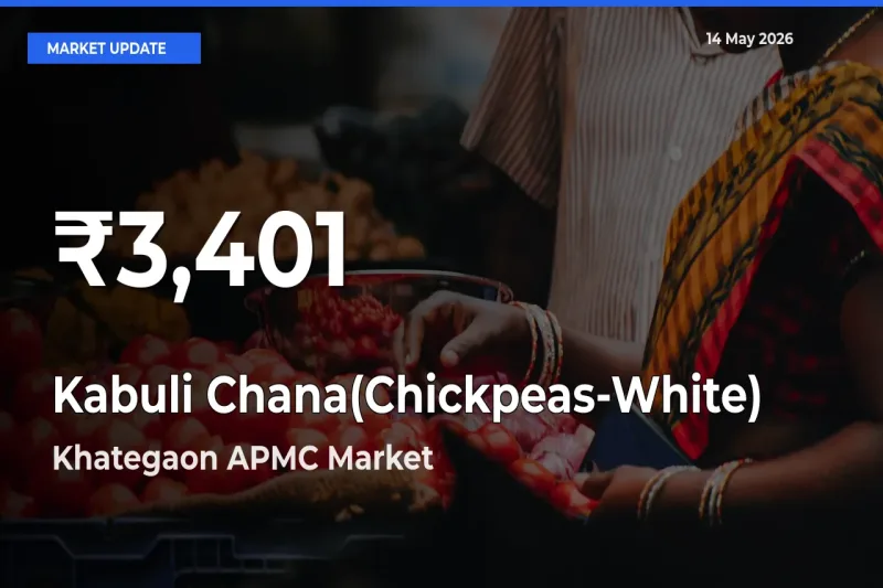 Why Kabuli Chana(Chickpeas-White) Prices Slumped in Khategaon APMC – 30-Day Low Today