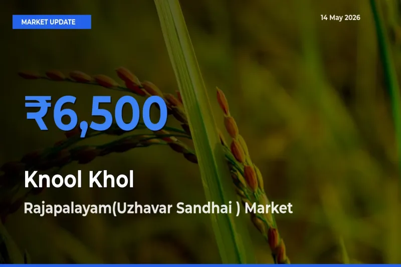 Rajapalayam(Uzhavar Sandhai ) Tops Knool Khol Rates – May 14 Market Update