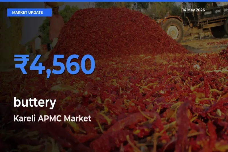 Market Watch: Kareli APMC Becomes Top Mandi for buttery