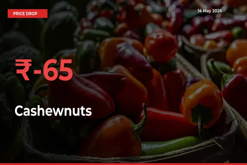 Cashewnuts Prices Drop 64.86% – May 14 Market Update from Mandis