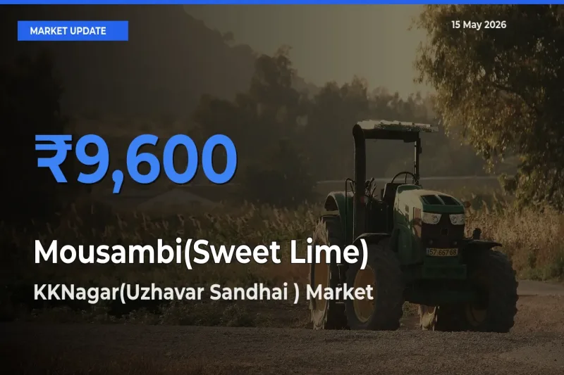 KKNagar(Uzhavar Sandhai ) Records Highest ₹9,600 Rate for Mousambi(Sweet Lime)