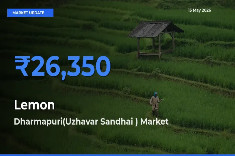 Dharmapuri(Uzhavar Sandhai ) Offers ₹26,350 – Highest Lemon Rate Today