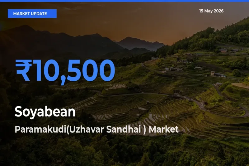 Paramakudi(Uzhavar Sandhai ) Records Highest ₹10,500 Rate for Soyabean