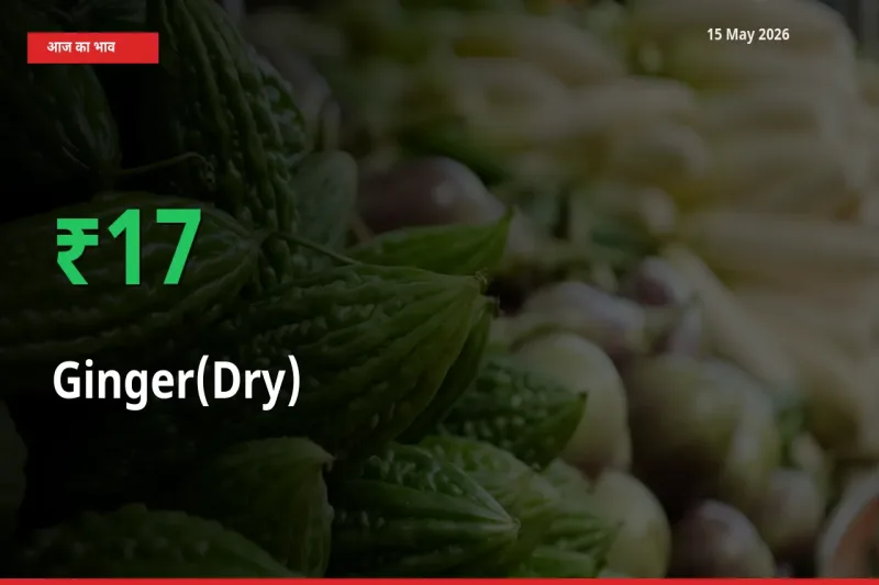 अदरक (सूखा) 16.89% उछला, मंडी