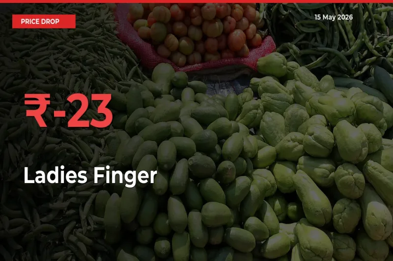 Ladies Finger Prices Drop 23.02% in 24 Hours at Major Mandis