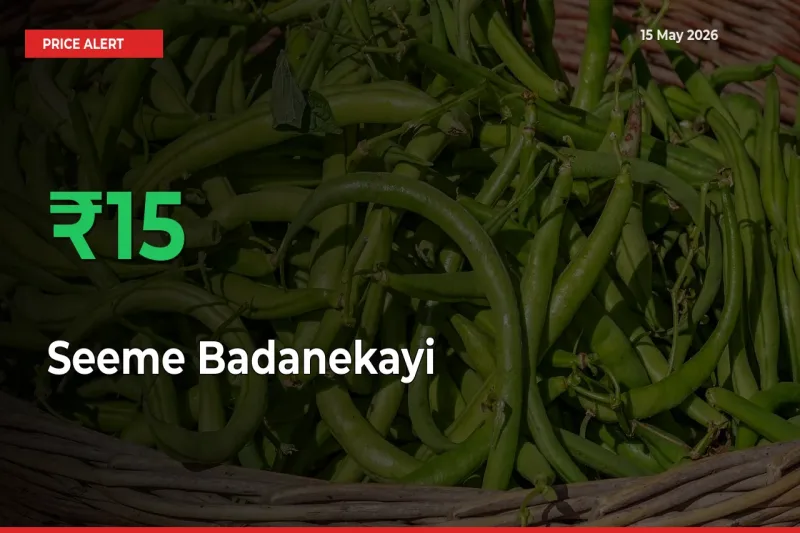 Seeme Badanekayi Rises 15.09% at Mandis