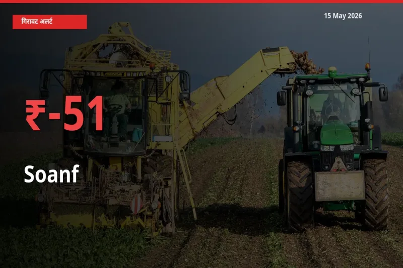 सौंफ 51.45% गिरा, मंडी