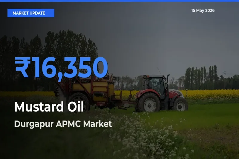 Durgapur APMC Tops Mustard Oil Rates – May 15 Market Update