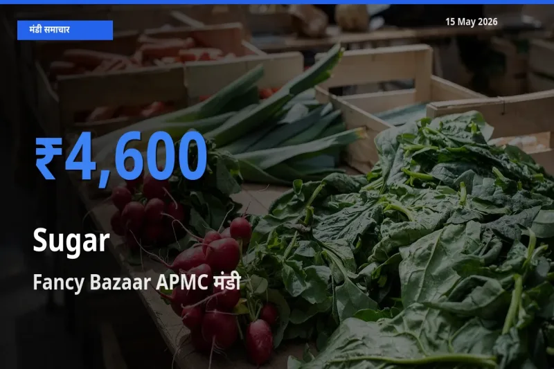 Fancy Bazaar APMC में चीनी का आज सबसे ऊँचा भाव
