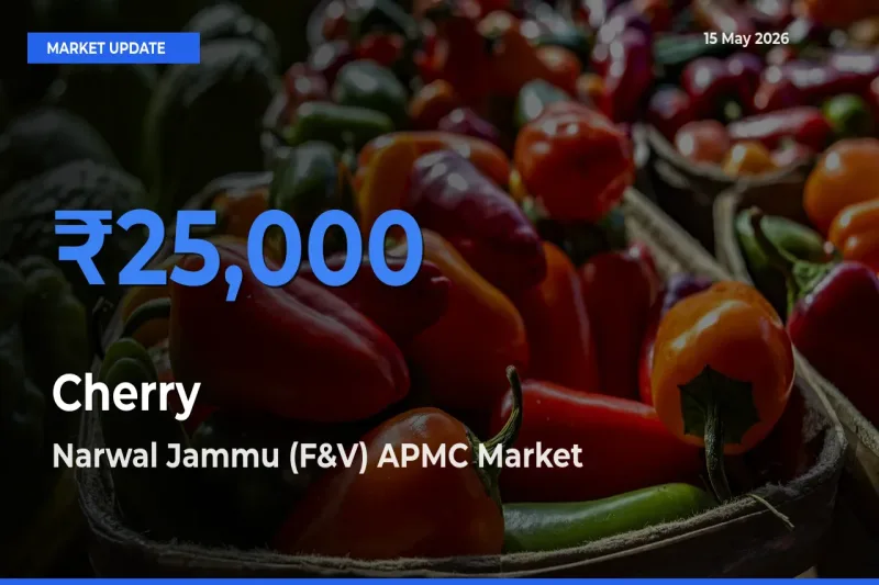 Narwal Jammu (F&V) APMC Tops Cherry Mandi Rates Today