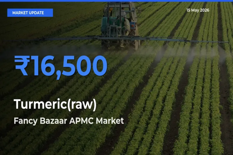 Fancy Bazaar APMC Records Highest ₹16,500 Rate for Turmeric(raw)