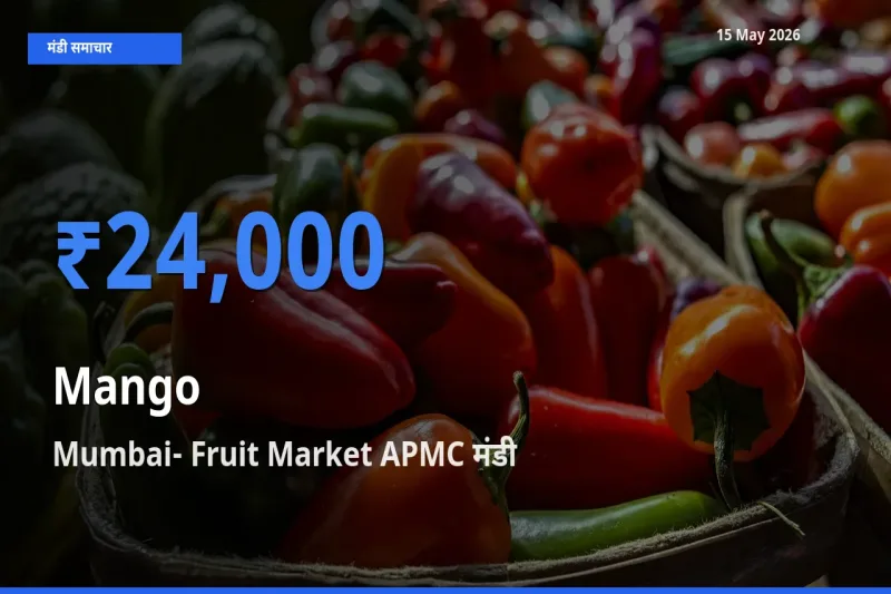बाज़ार संकेत: Mumbai- Fruit Market APMC बना आम के लिए आज की टॉप मंडी