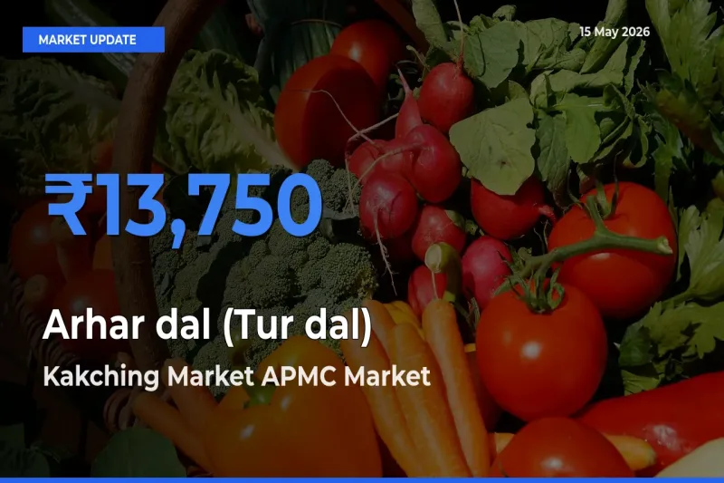 Kakching Market APMC Emerges as Top Mandi for Arhar dal (Tur dal) Prices Today