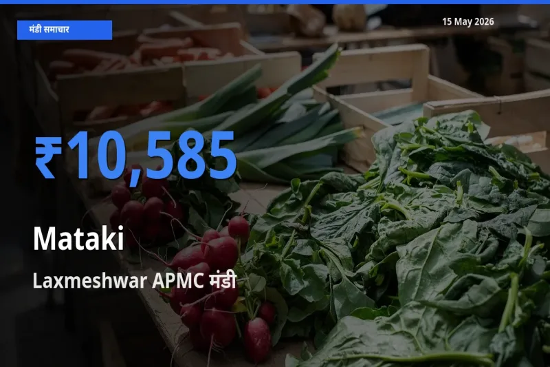 Laxmeshwar APMC मंडी में आज मटकी के सबसे ऊँचे दाम दर्ज