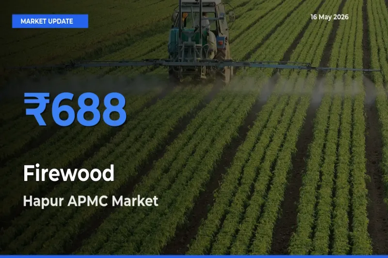 Hapur APMC Records Highest ₹688 Rate for Firewood