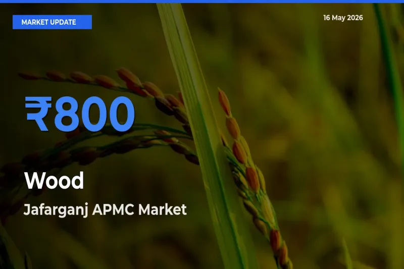 Jafarganj APMC Records Highest ₹800 Rate for Wood