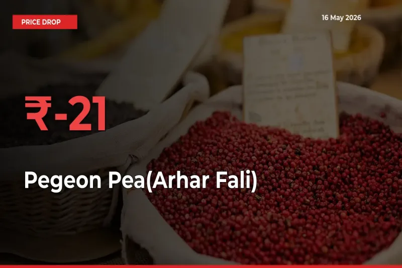 This Mandi Records 20.68% Fall in Pegeon Pea(Arhar Fali) Prices