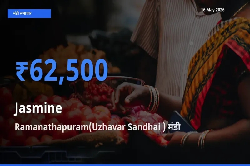 किसानों की पसंद बना Ramanathapuram(Uzhavar Sandhai ), चमेली के सबसे अच्छे दाम