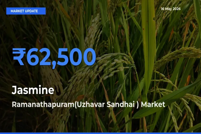 Ramanathapuram(Uzhavar Sandhai ) Tops Jasmine Mandi Rates Today