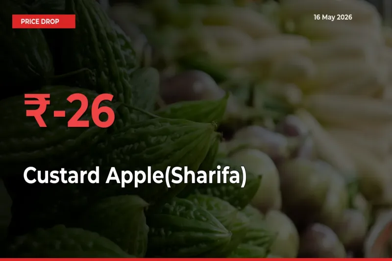 Sharp Fall! Custard Apple(Sharifa) Prices Plunge 26.27% in a Day at Key Mandis
