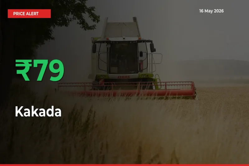 Kakada Prices Rise 79.02% in a Day at Major Mandis