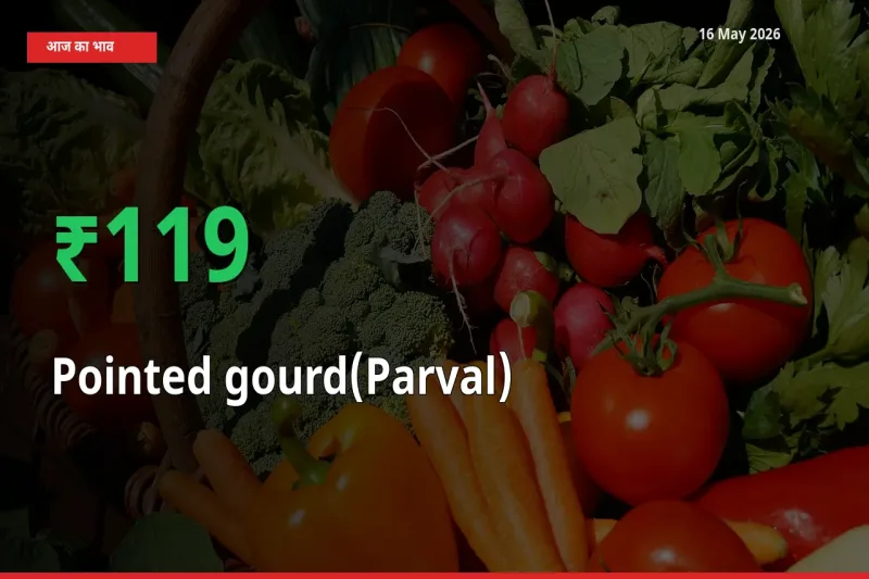 स्थानीय मंडी में परवल के दाम अचानक 118.97% उछले, किसान सतर्क
