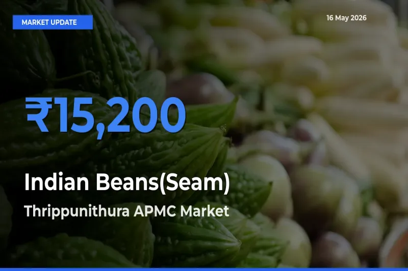 Thrippunithura APMC Tops Indian Beans(Seam) Mandi Rates Today