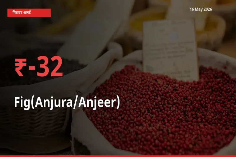 आज का मंडी भाव: अंजीर के दाम मंडी में 31.68% नीचे